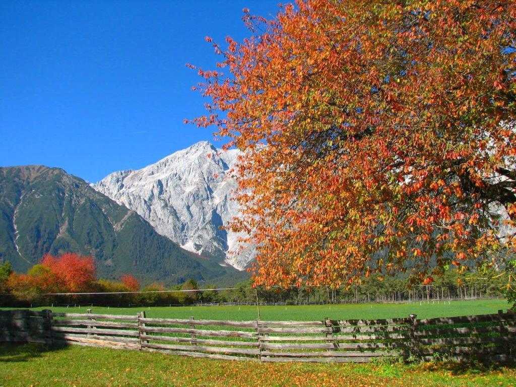 Adlerhof Am Sonnenplateau Ξενοδοχείο Mieming Εξωτερικό φωτογραφία