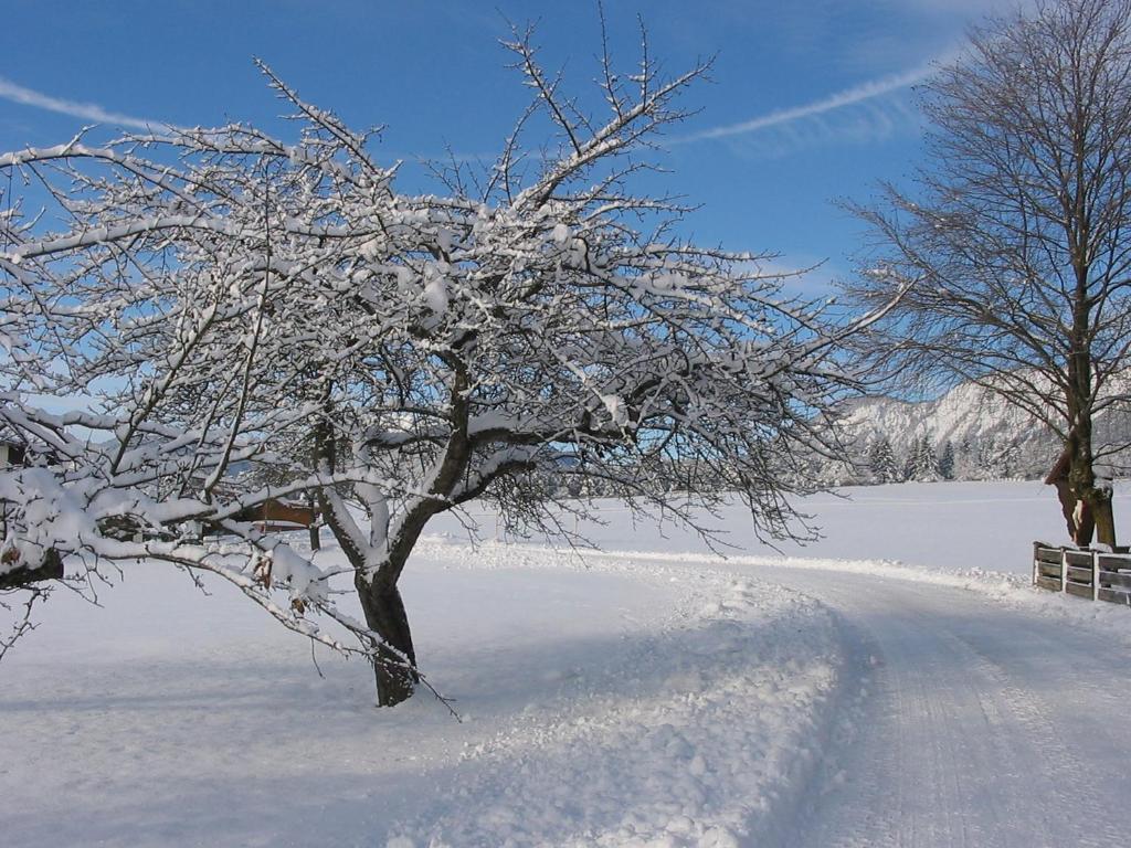 Adlerhof Am Sonnenplateau Ξενοδοχείο Mieming Εξωτερικό φωτογραφία